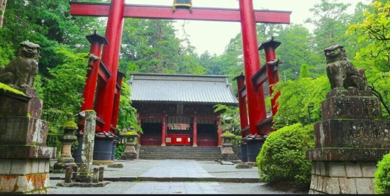 Mt.FUji and Cherry Blossom Full Day Trip with English Driver - Who Should Book This Tour?  