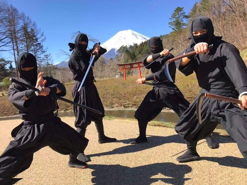 Mt.Fuji and Hakone 1 Day Bus Tour from Tokyo - Odawara or Shinjuku: choose your finish