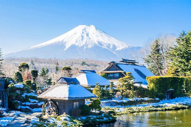 Mt Fuji and Hakone Day Trip from Tokyo with Ropeway Experience - The Practical Side: Value and Cost Analysis