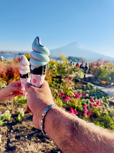 Mt. Fuji and Hakone Lake Ashi Day Tour With Pickup & Dropoff - Important Information