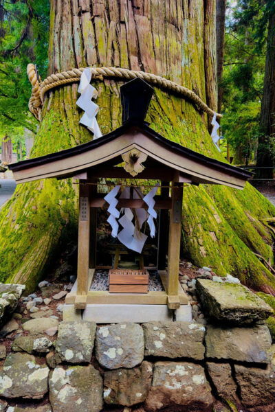 Mt. Fuji and Hakone Lake Ashi Day Tour With Pickup & Dropoff - Contact and Support