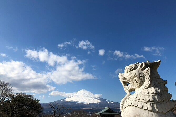 Mt. Fuji and Hakone Private Day Tour by Bullet Train and Car - Scenic Drive Back via Hakone-machi