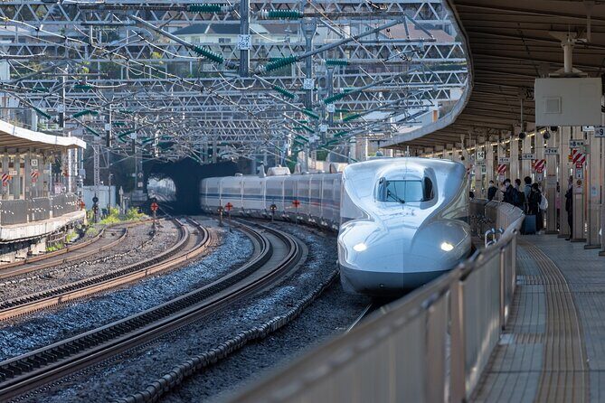 Mt. Fuji and Hakone Private Day Tour by Bullet Train and Car - Smooth Return to Tokyo