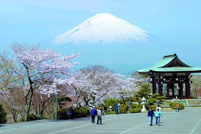 Mt. Fuji and Hakone Private Day Tour by Bullet Train and Car - FAQ