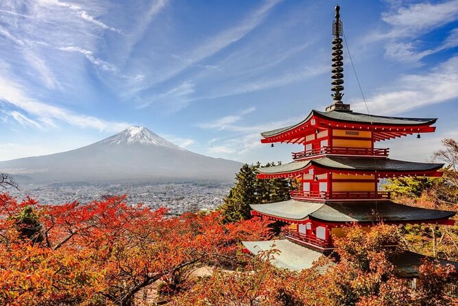 Mt Fuji and Hakone Private Day Tour With English Speaking Driver - Cancellation Policy and Weather Considerations