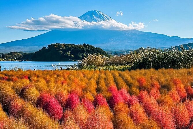 Mt Fuji and Hakone Private Day Tour With English Speaking Driver - The Sum Up