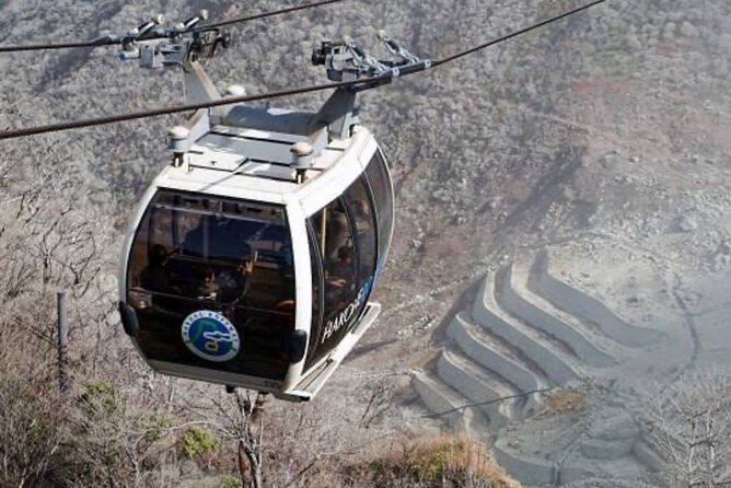 MT Fuji and Hakone Private Group Tour (Upto 9 Persons) by Hiace - Price and Reviews