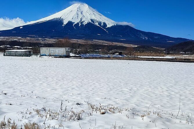 Mt. Fuji and Hakone Private Tour with English Speaking Driver - Practical Details and What You Should Know