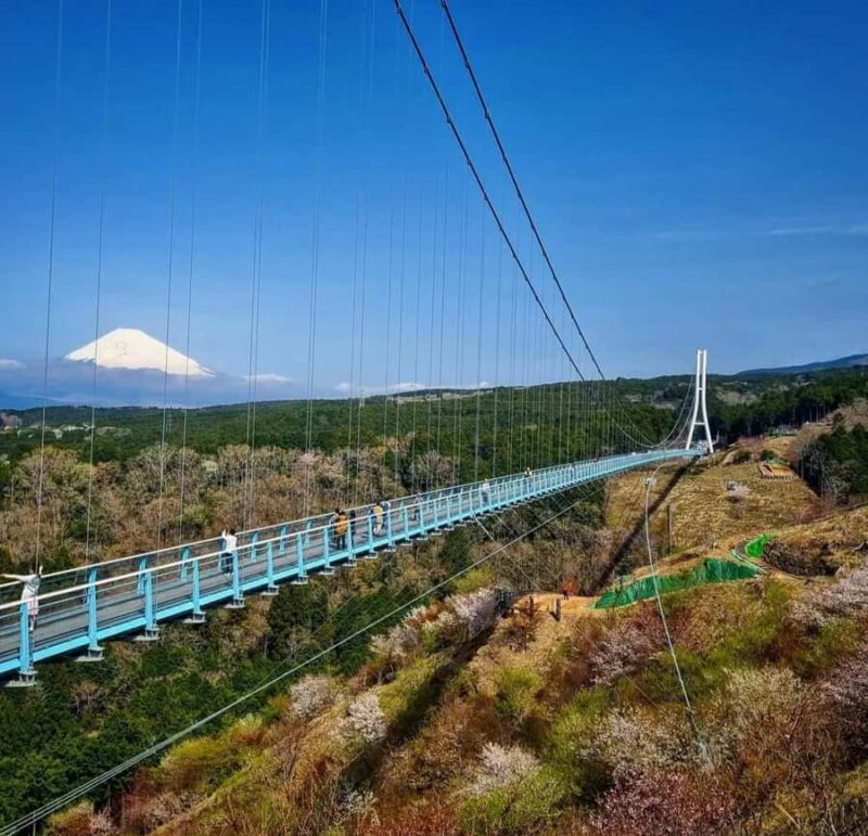 Mt Fuji and Hakone Private Tour With English Speaking Driver - Authenticity and Reviewer Insights