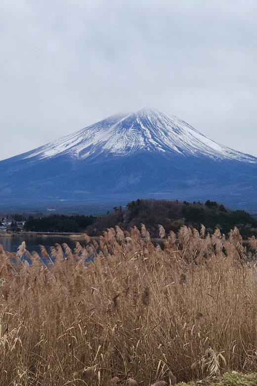 Mt Fuji and Hakone Private Tour With English Speaking Driver - Who Should Book This Tour?