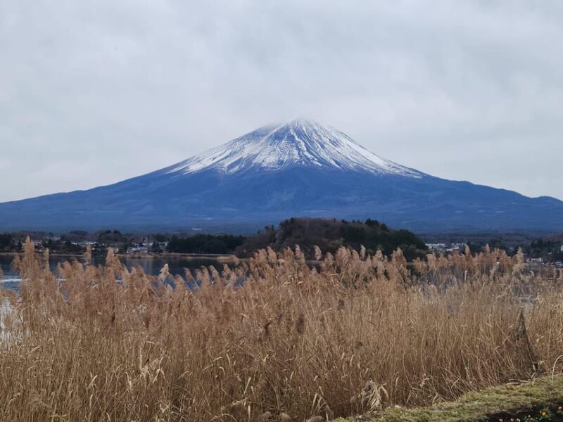 Mt Fuji and Hakone Private Tour With English Speaking Driver - Final Thoughts