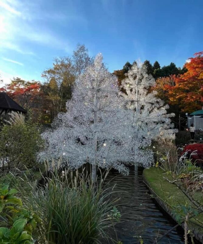 Mt Fuji and Hakone Private Tour With English Speaking Driver - Good To Know