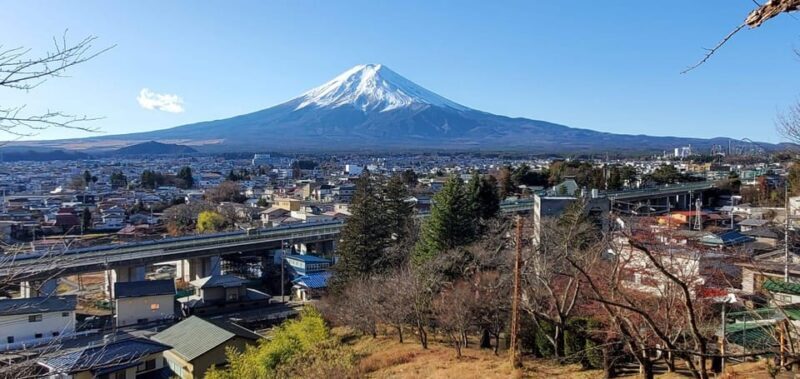 Mt Fuji and Hakone Private Tour With English Speaking Driver - Good To Know