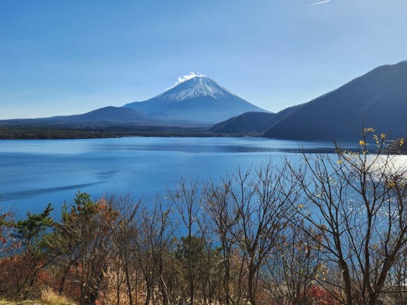 Mt Fuji and Hakone Private Tour With English Speaking Driver - Why This Tour Is Worth Considering