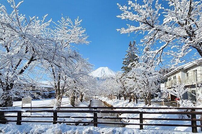 Mt. Fuji and Hakone Private Tour with English Speaking Driver - Practical Tips for Travelers