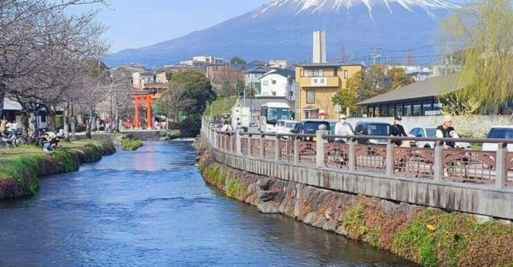 Mt Fuji and Hakone Private Tour With English Speaking Driver - Good To Know