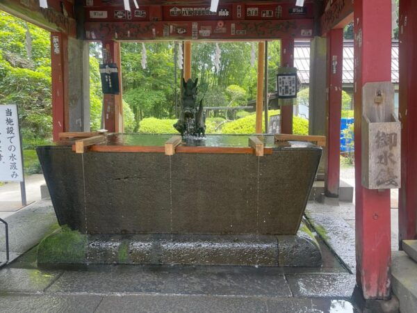 Mt Fuji and Hakone Private Tour With English Speaking Driver - Customization Options