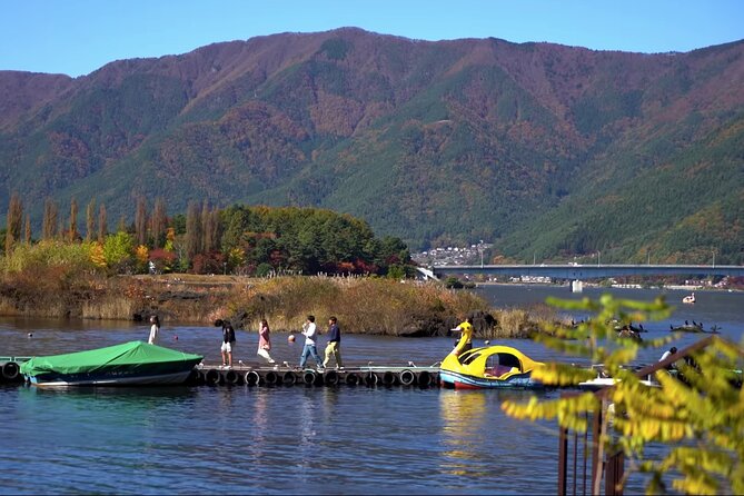 Mt. Fuji and Hakone Sightseeing Adventure Tour With English Guide - Additional Details and Terms and Conditions