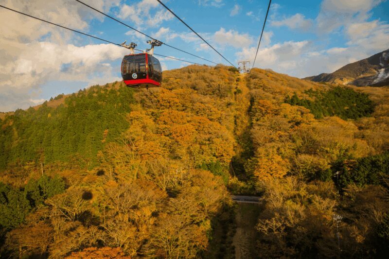 Mt.Fuji and Hakone Tour - Transportation and Group Size: Why It Matters