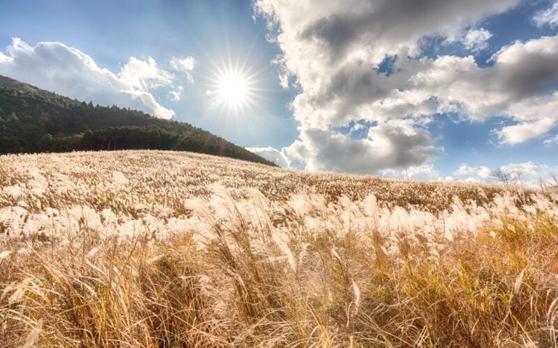 Mt.Fuji and Hakone Tour - FAQ: Practical Questions About the Mt. Fuji and Hakone Tour