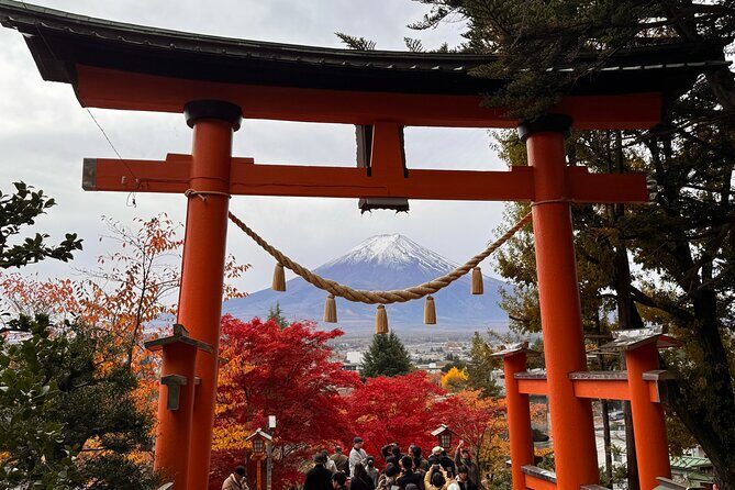 Mt Fuji and Lake Kawaguchi 1-Day Luxury Bus Tour From Tokyo - Good To Know
