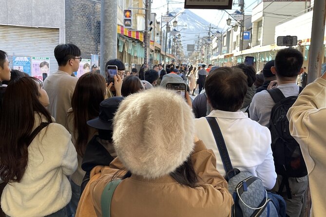 Mt. Fuji and Lake Kawaguchi Sakura Festival Sightseeing Tour - Itinerary Details