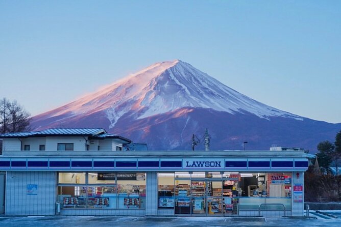 Mt. Fuji and Lake Kawaguchi Sakura Festival Sightseeing Tour - Booking and Pricing