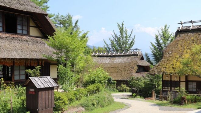 Mt Fuji and Lake Kawaguchi Scenic 1-Day Bus Tour - Inclusions