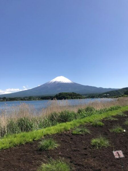 Mt Fuji & Arakura Sengen Shrine, Lake Kawaguchi - Inclusions and Transportation Details