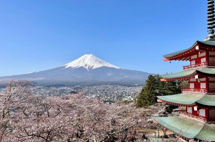 Mt.Fuji Area, 1 Day Private Car Trip(English Guide Tour) - Tour Details