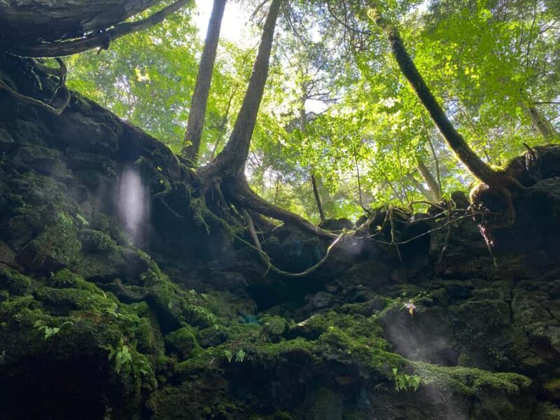 Mt Fuji Area: In-depth Guided Adventure in English - A Deeper Look into the Mt. Fuji Private Tour