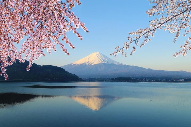Mt Fuji Area Private Guided Tours in English-Nature up Close, Quiet, Personal - Tour Overview and Highlights