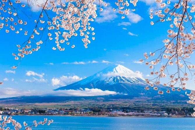 Mt. Fuji Area Tour Tokyo DEP: English Speaking Driver, No Guide - Traveler Photos