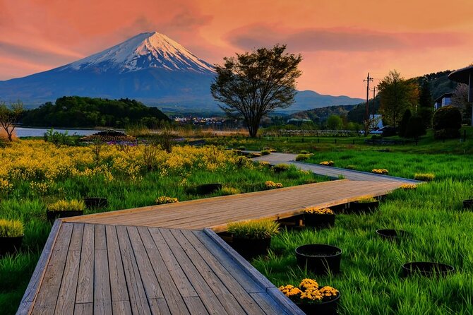 Mt. Fuji Area Tour Tokyo DEP: English Speaking Driver, No Guide - Reviews
