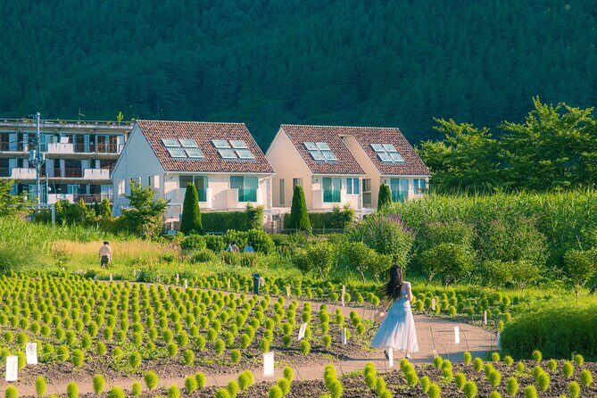 Mt. Fuji Autumn leaves And Heritage Village Trip Tokyo - FAQ