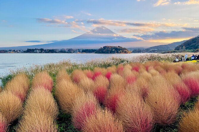 Mt. Fuji Autumn leaves And Heritage Village Trip Tokyo - FAQs