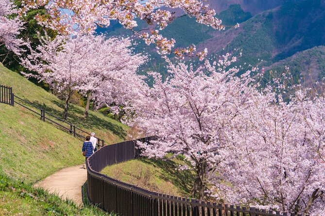 Mt. Fuji Cherry Blossom One Day Tour From Tokyo - Booking Information