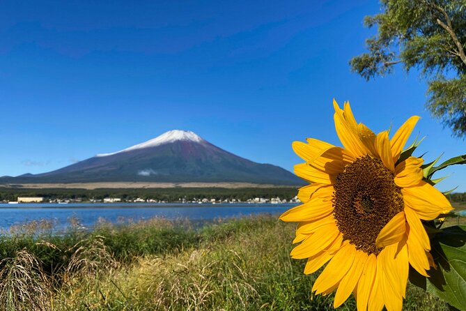 Mt Fuji Crafts Village and Lakeside Kid-Friendly Bike Tour - Additional Information