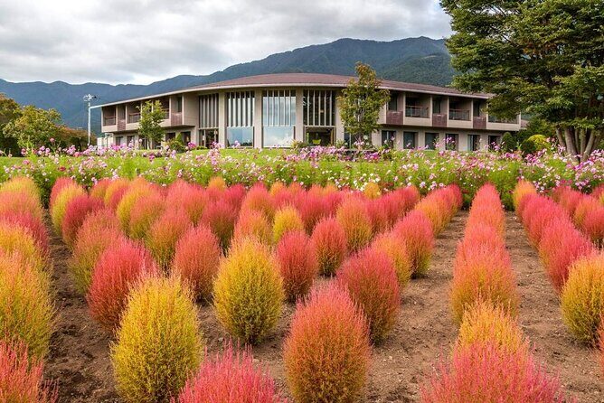 Mt Fuji Day Tour: Chureito Pagoda, Lake Kawaguchi & Oshino Hakkai - Who Is This Tour Best For?