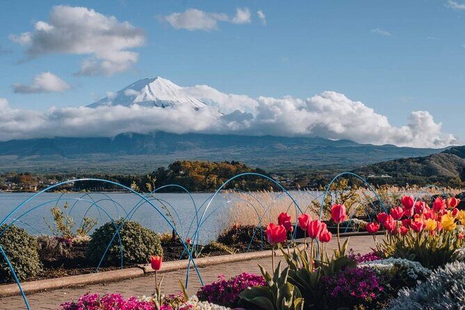 Mt Fuji Day Tour: Chureito Pagoda, Lake Kawaguchi & Oshino Hakkai - FAQ
