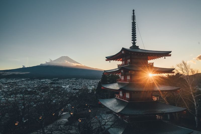 Mt. Fuji Day Tour: Flower Sightseeing & Outlet Shopping from Tokyo - The day at a glance