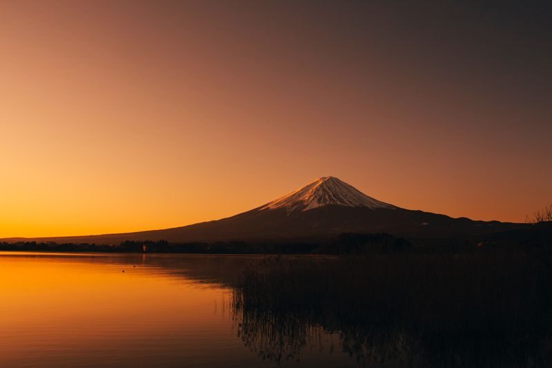 Mt. Fuji Day Tour: Flower Sightseeing & Outlet Shopping from Tokyo - A high station, not a summit climb
