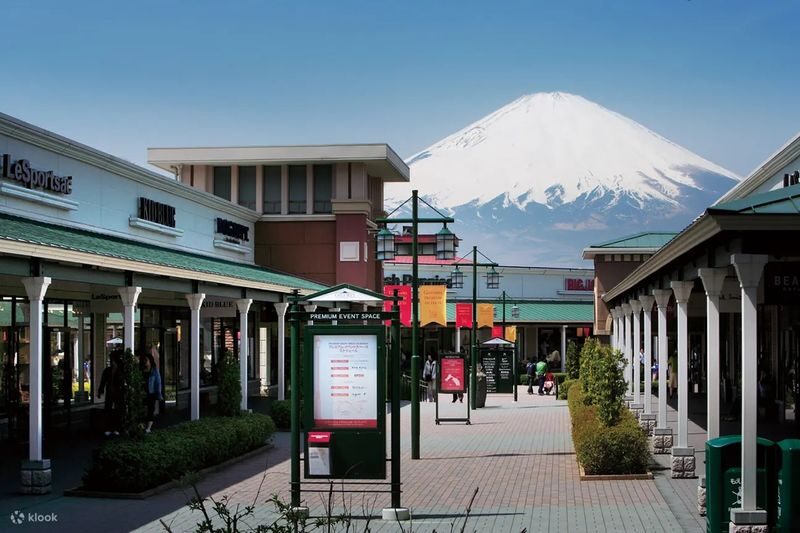 Mt. Fuji Day Tour: Flower Sightseeing & Outlet Shopping from Tokyo - Guides help most when the schedule is tight