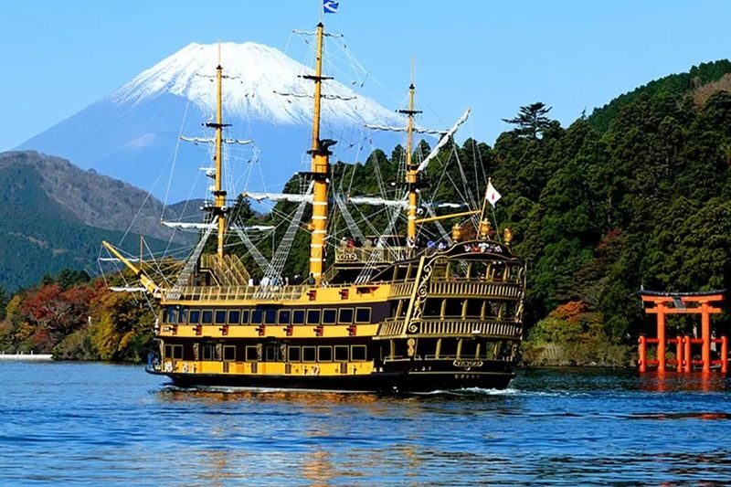 Mt. Fuji Day Tour: Flower Sightseeing & Outlet Shopping from Tokyo - Choose lunch and flower stops with care