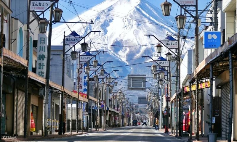 Mt. Fuji Day Tour: Flower Sightseeing & Outlet Shopping from Tokyo - The price is strongest for a first Fuji-area visit