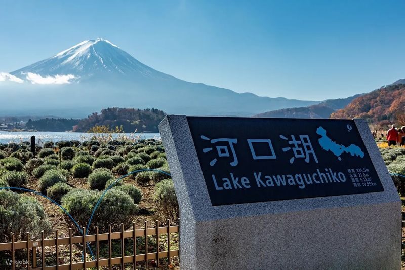 Mt. Fuji Day Tour: Flower Sightseeing & Outlet Shopping from Tokyo - Who should book this day trip?