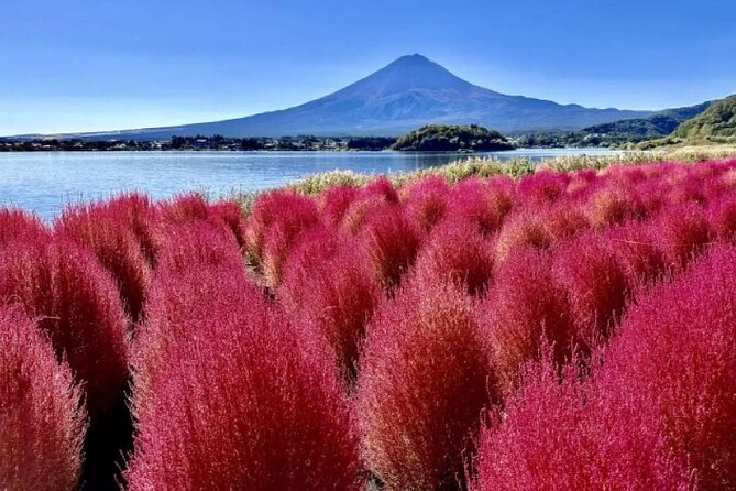Mt. Fuji Day Tour From Shinjuku in Tokyo Japan - Itinerary Highlights