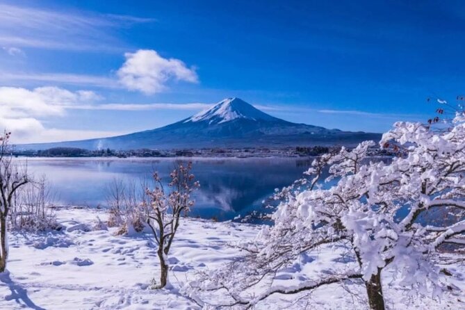 Mt. Fuji Day Tour From Shinjuku in Tokyo Japan - Booking and Cancellation Policy