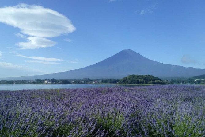 Mt.Fuji Day Tour From Tokyo With Chinese and English Service - Cancellation Policy