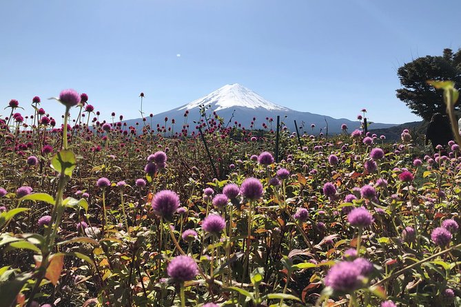 Mt Fuji Day Tour With Kawaguchiko Lake and Fifth Station - Common Questions (FAQs) and Pricing Details
